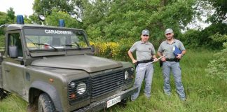 controlli forestale