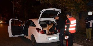 controlli carabinieri cinofili