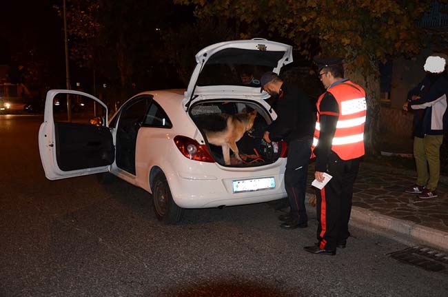 controlli carabinieri cinofili