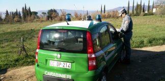 controlli carabinieri forestale