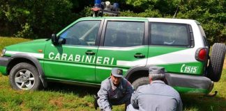 controlli carabinieri forestali