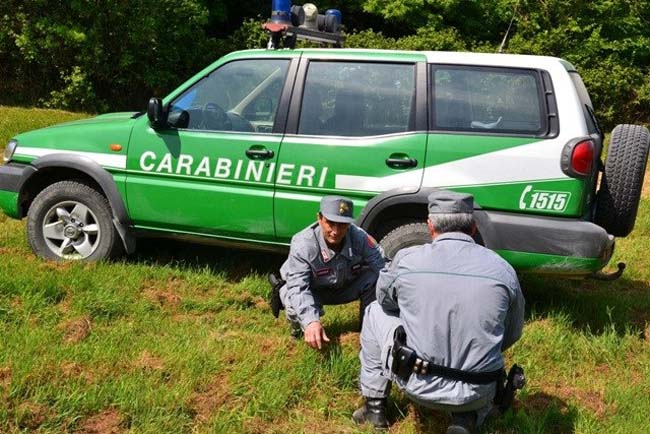 controlli carabinieri forestali