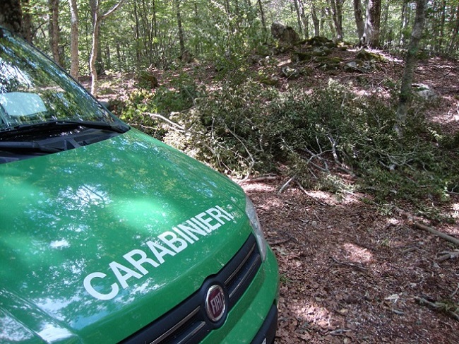 controlli carabinieri forestali