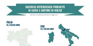 differenziata molise