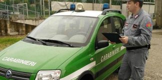 controlli carabinieri forestale