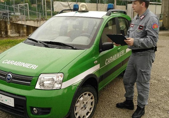 controlli carabinieri forestale