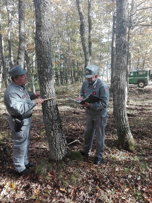 controlli cc forestale