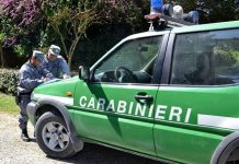 controlli Carabinieri Forestale