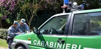 controlli Carabinieri Forestale