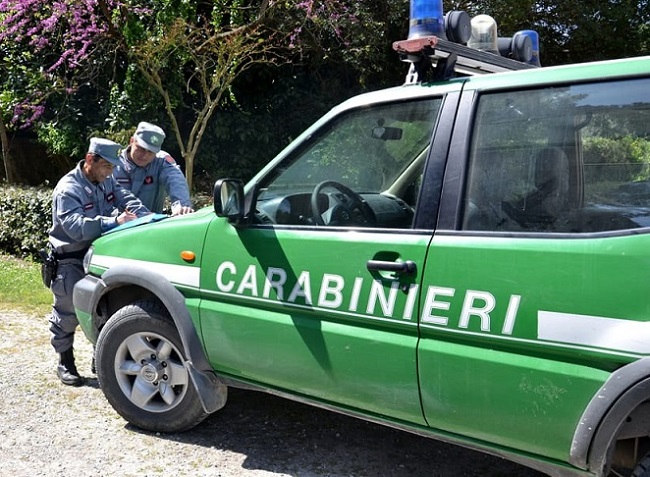 controlli Carabinieri Forestale