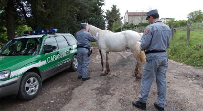 controlli cc forestali