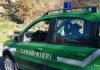 controlli cc forestali