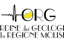 ordine geologi molise logo