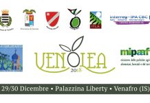 venolea 2018