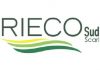 rieco sud
