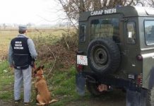 carabinieri forestale