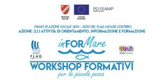 flag informare 22 febbraio 2019