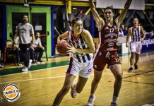 Basket Progresso Matteiplast