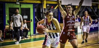 Basket Progresso Matteiplast