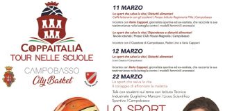 campobasso city basket