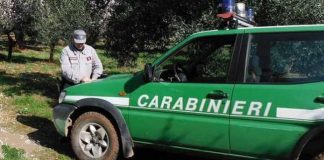 Carabinieri Forestale