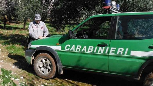 Carabinieri Forestale