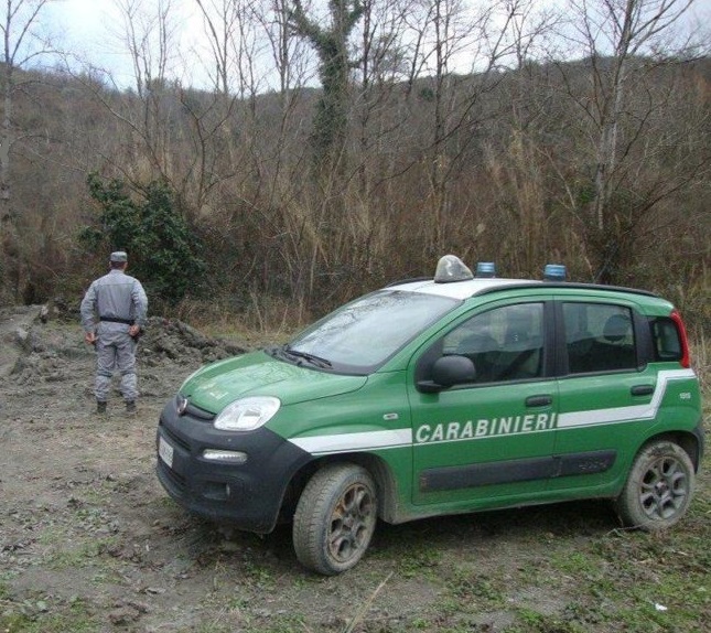 controlli cc forestale