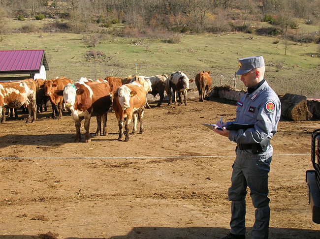 controlli polizia veterinaria