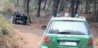 controllo carabinieri forestale