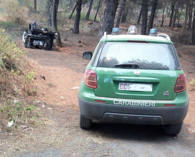 controllo carabinieri forestale