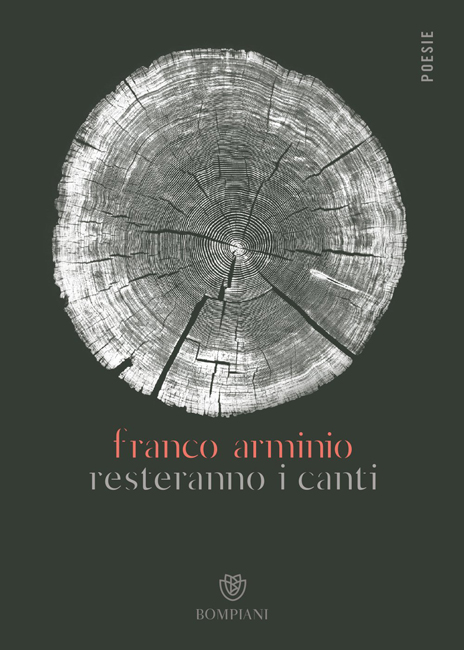 copertina libro Arminio