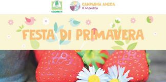 festa primavera 2019