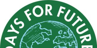 fridays for future