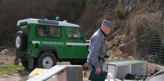 controlli carabinieri forestale