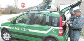 controlli cc forestale