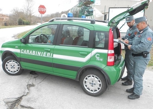 controlli cc forestale