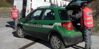 controlli cc forestale