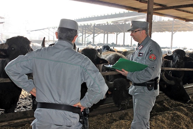 controlli dei Carabinieri Forestali