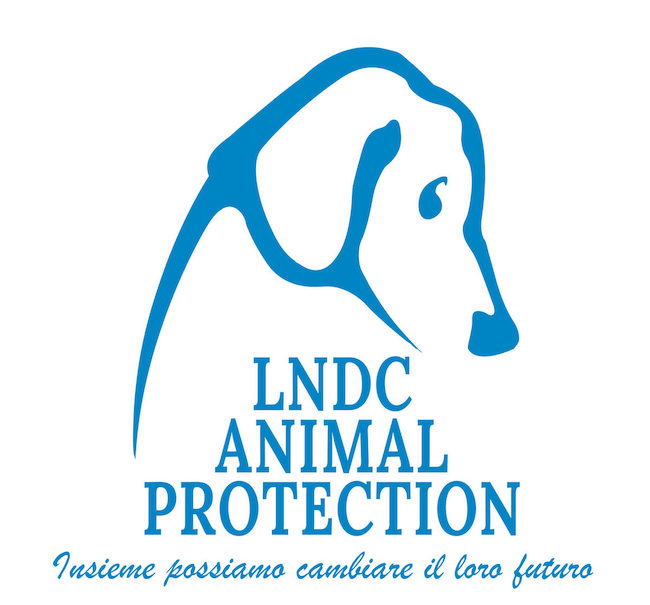 logo lndc