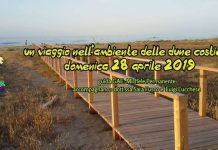 un viaggio nell'ambiente 28 aprile 2019