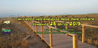 un viaggio nell'ambiente 28 aprile 2019