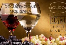 degustazione molidoc