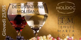 degustazione molidoc