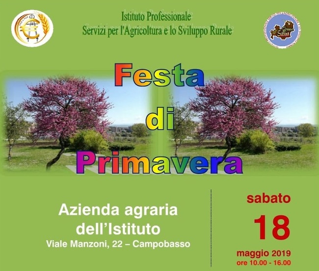festa di primavera Campobasso 18 maggio 2019