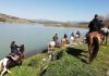 Caldo torrido e piogge scarse, ma l’invaso di Occhito ‘regge’ occhito's lake
