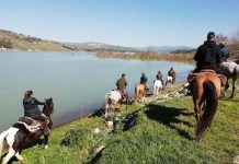 Caldo torrido e piogge scarse, ma l’invaso di Occhito ‘regge’ occhito's lake