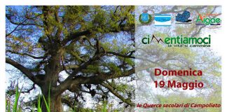 querce secolari campolieto-19-maggio-2019