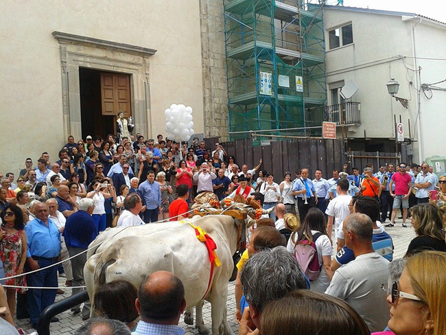 Montecilfone, sfilata carri di Sant'Antonio