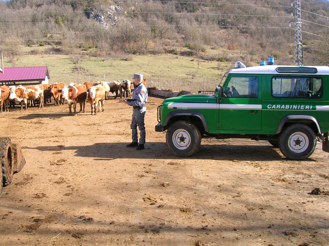 controlli forestali