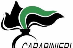 logo carabinieri forestali